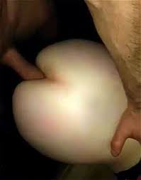 Search homemade rough anal jpg x Brutal anal homemade