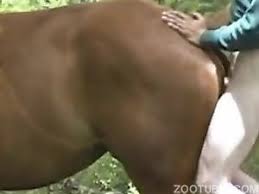 Man fucked horse jpg x Man fucked by horse