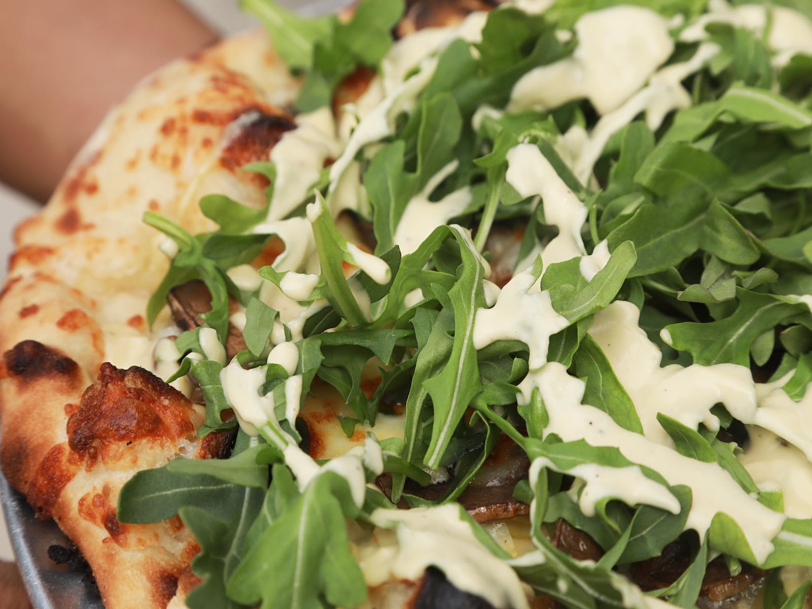 Bricks and Birch by null