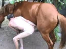 Ced man fuck horse gaybeast com siterip jpg x Guy gets fucked by horse