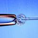 Infertility Treatment Breakthrough as Scientists Build Embryos From Stem Cells 
