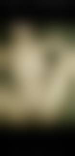 Melissacantik.com porn|Janda Toge - 84 nude photo. ☆ peepeebabes.pics