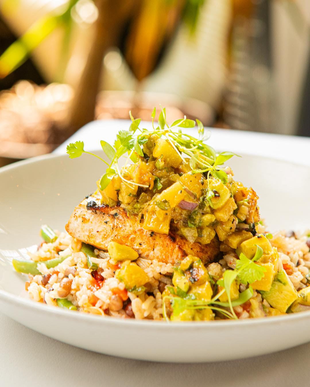 Haven Restaurant and Bar by null