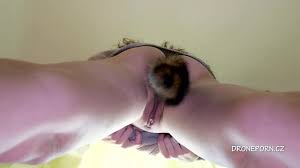 Thrusting anal plug porn videos sex movies jpg x Anal tail