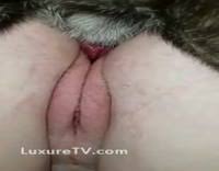 Fat pussy sex jpg x Fat pussy sex