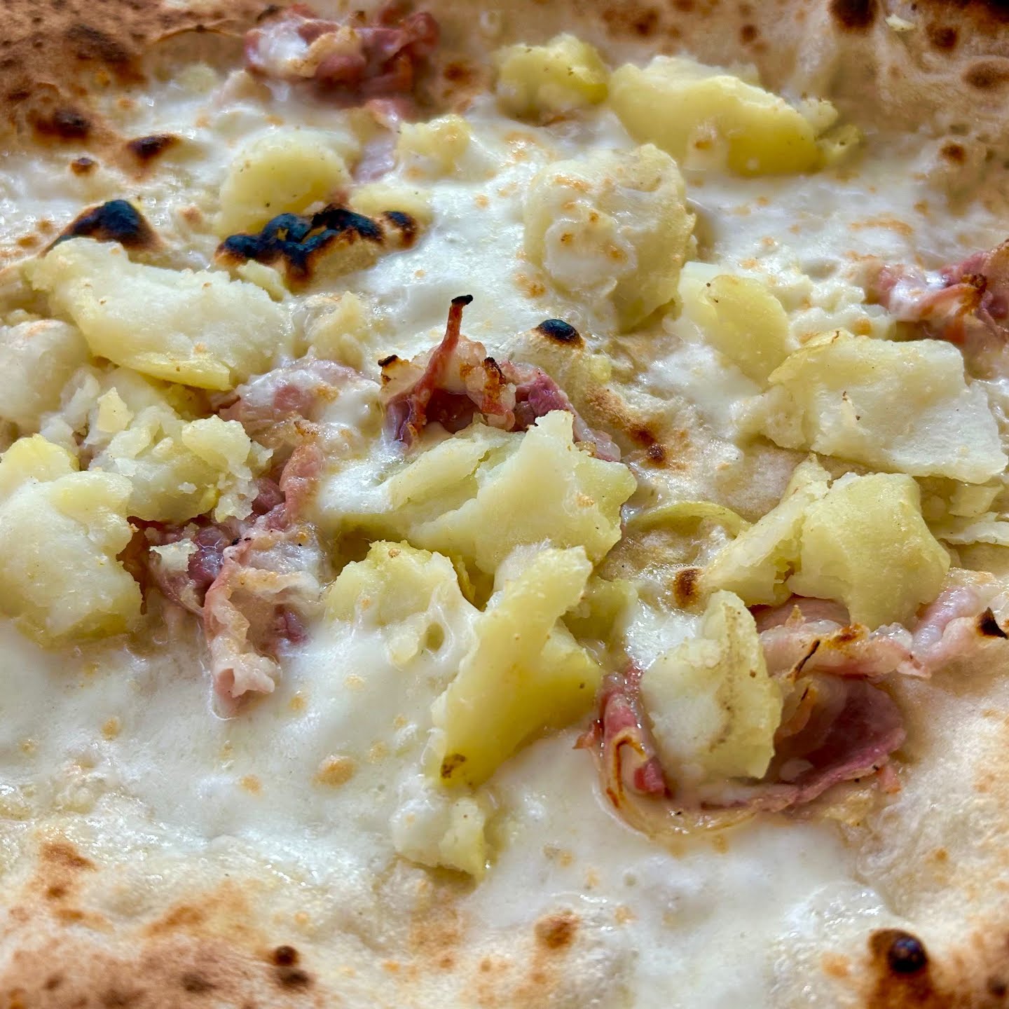 La Gatta Mangiona by null