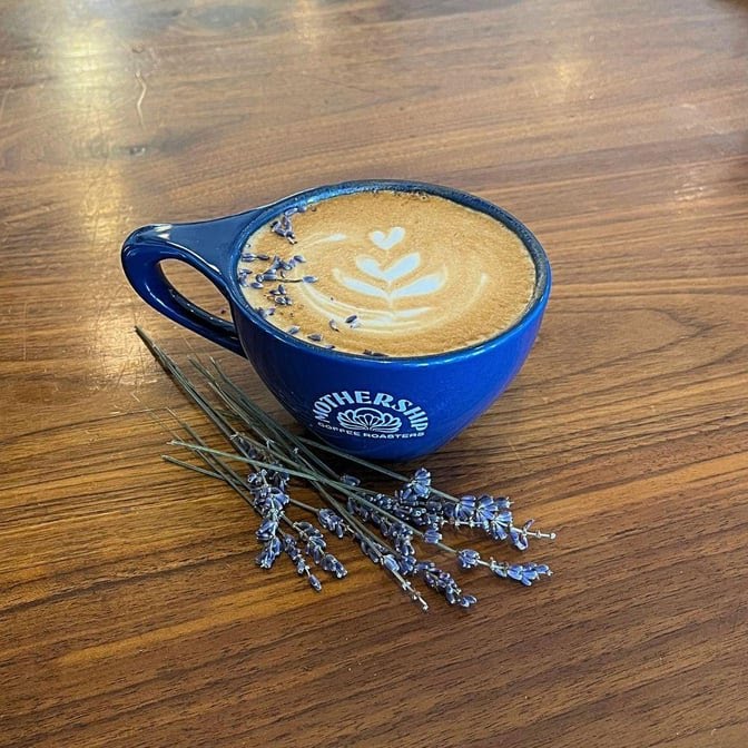 Mothership Coffee Roasters by null
