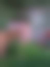 голышом на даче|На даче женщины голые