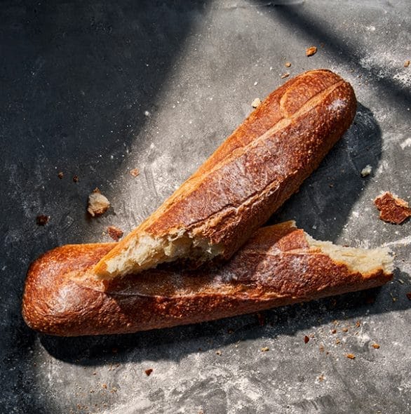 St. Louis Bread Co. by null