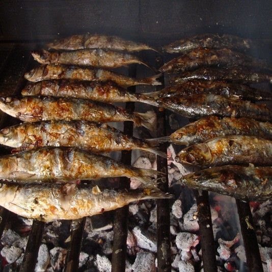 O Forninho Da Afurada by null