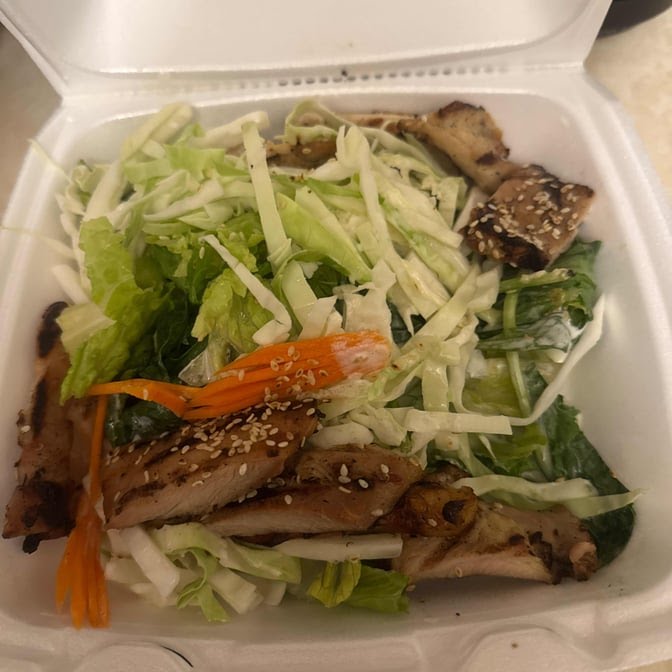 Oriental Garden by null