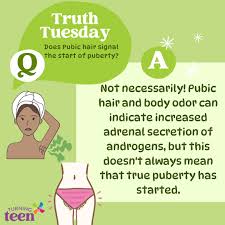 puberty pubic hair|Question Video: Identifying Male-Only Changes Happening during Puberty |  Nagwa