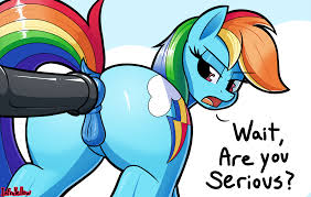 Rainbow dash and you attend the gala jpg x Rainbow dash sex