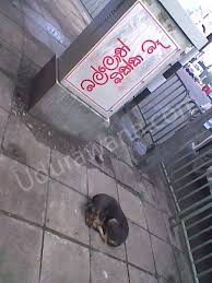 images