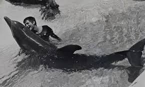 Dolphin tube porn videos xhamster jpg x Dolphin tube