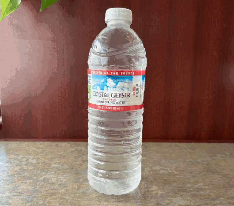 House of Bagels by null