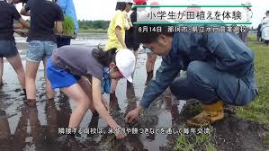 JS 小学生 ロリ パンチラ|神部黍田公園 - YouTube