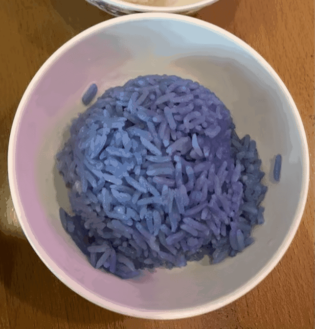 Funky Elephant Berkeley by null