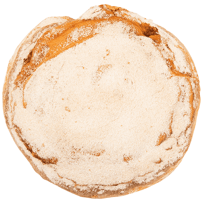 Kane's Donuts in Boston by null