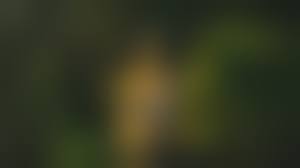 満島ひかりエロ|満島ひかり20歳/Perfect Collection グラビアアイドルイメージ