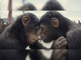 Planet of the apes jpg x Planet of the apes