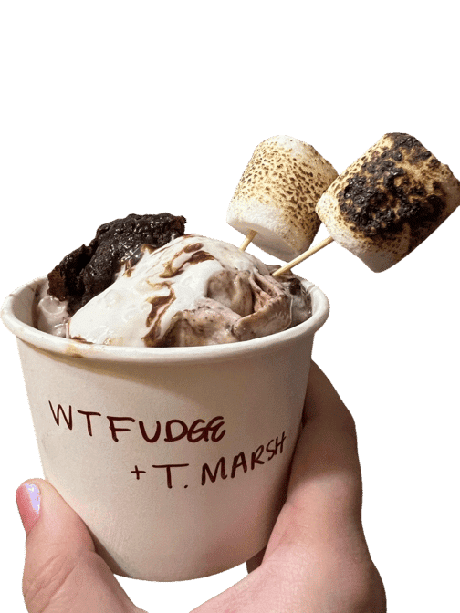 Sweet Dreams Tasty Treats Hand Rolled Ice Cream by null