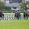 競馬AIが福島牝馬ステークスを大予想 厳選ワイド3点＆3連複10点で ...