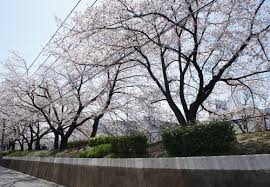 postto.me porn 70|推女神巨乳投稿画像 枚sexiezpix Web Porn