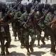Four villages taken by Al-Shabaab in S. Somalia: gov't 