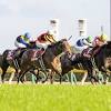 【毎日王冠レース後コメント】シュネルマイスター C.ルメール騎手 ...