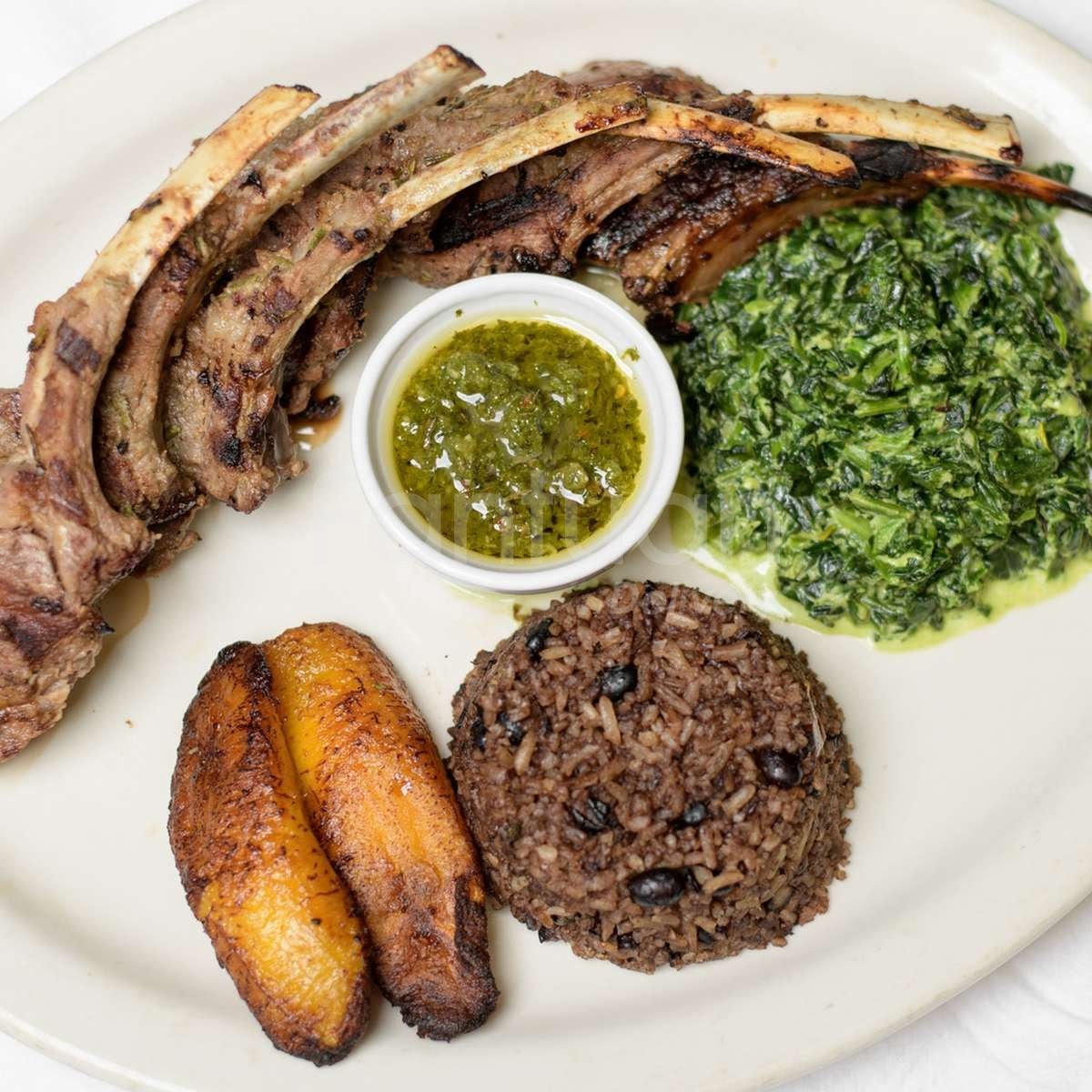 Cuba Café Restaurant by null