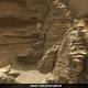 NASA's 'Martian Gardens' To Find Best Vegetables To Grow On Mars 