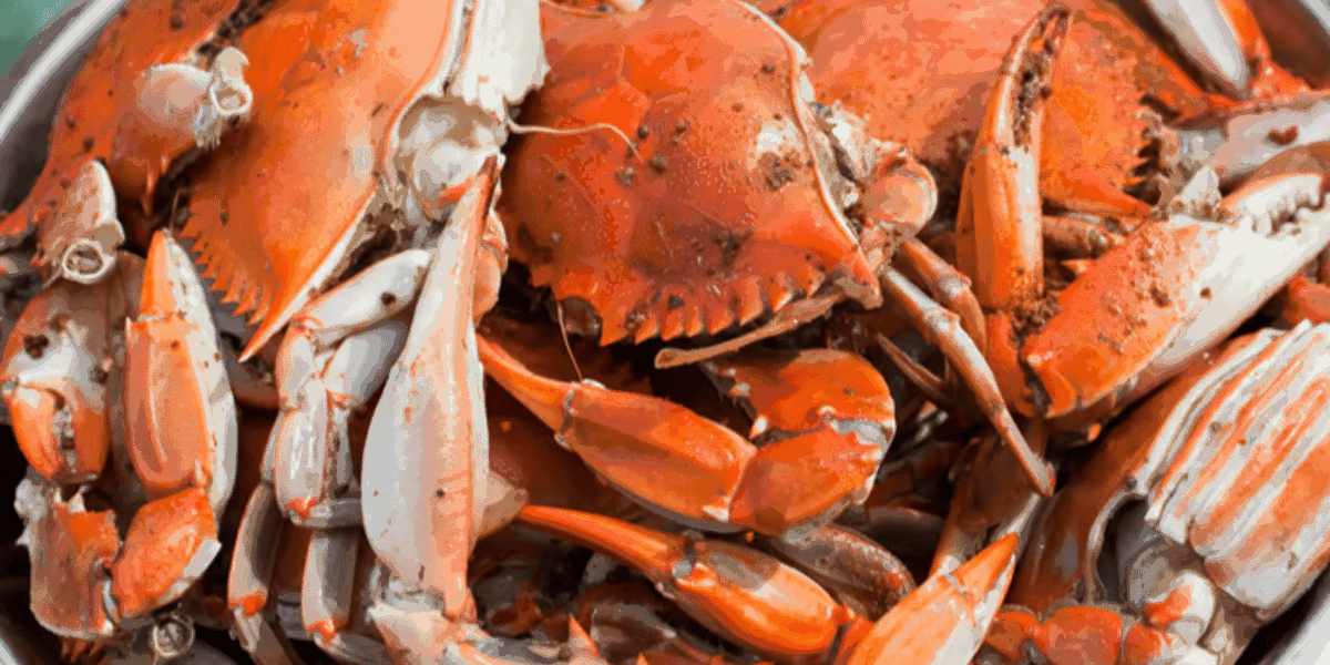 Morningside Cafe by null