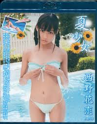 junior idol karen nishino|IMAX DVD Nishino Karen Summer Girl | Mandarake Online Shop