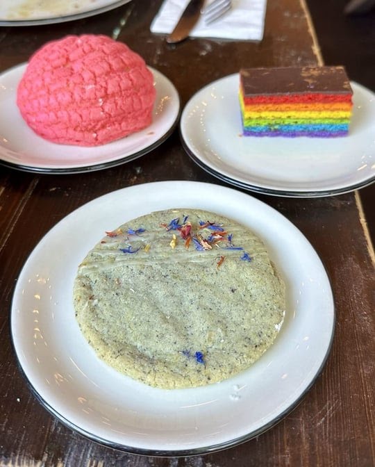 Ursula Brooklyn by null