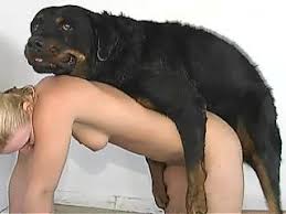 A daanimal sex beastiality porn jpg x Woman has sex with dog