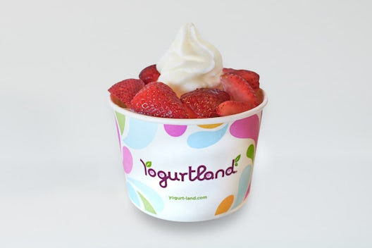 Yogurtland Garland by null