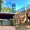 官網大當機？壽山動物園試營運搶不到票，出發避開「這幾天」！