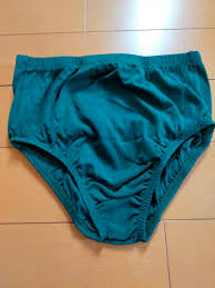 アンスコ　着替え|アンダースコート - Wikipedia