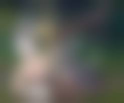 3d imperia hentai comic|Imperial Girls- Andrew Tarusov [Star Wars] | 18+ Porn Comics