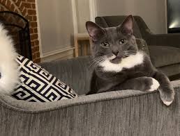 real interesting real family incest genie morman 4|TV & Satellite Week Magazine - 2024-11-26