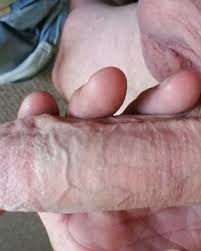Average penis size jpg x Average cock