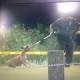 Plant City toddler hospitalized after being trapped in dog's mouth 