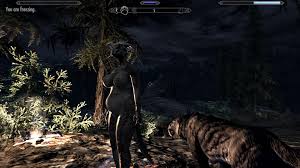 Things i learned trying to get laid in skyrim jpg x Sexlab nude creatures