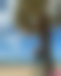 crazy holiday nude girl dasha|