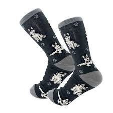 siberian mouse teen|Girl Power | Uncle Grandpa | Cartoon Network - YouTube