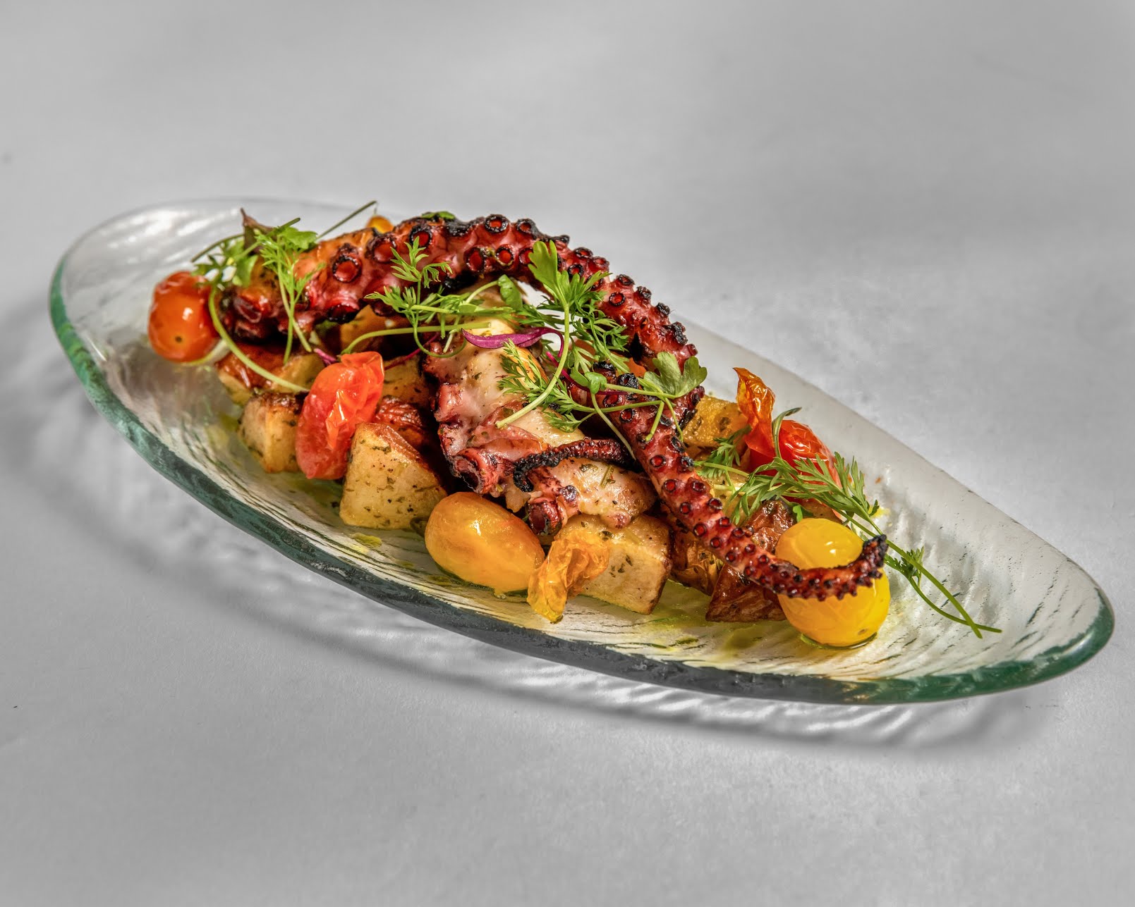 The Blue Dog by null