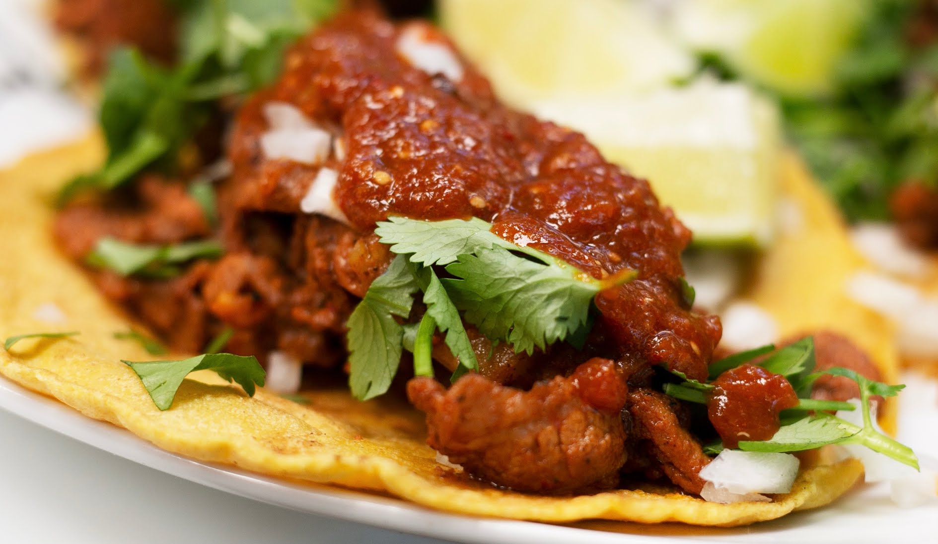 Taco Dudes & Caribbean by null