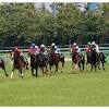 JRAエリザベス女王杯（G1）横山武史「感情露わ」でレース後下馬 ...