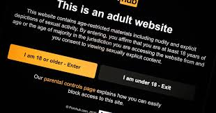 Governments should help make porn normal and boring new pornhub owners jpg x Prn hub